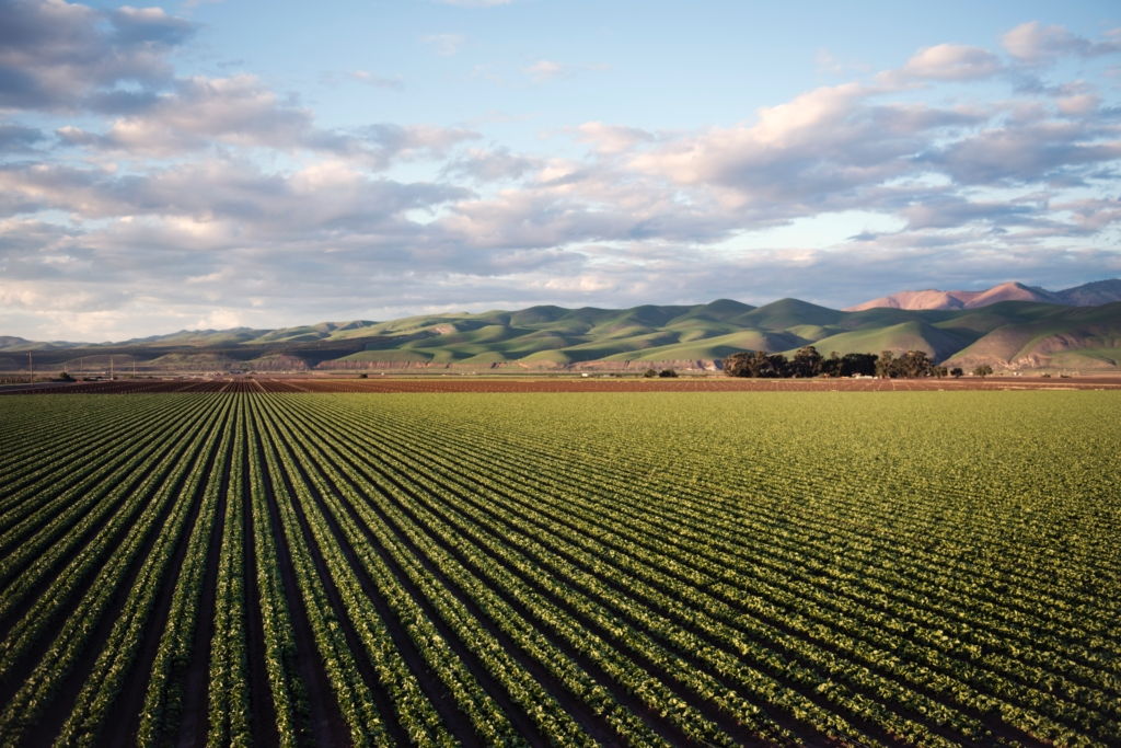 Edital de pesquisa para o desenvolvimento de aplicativos com a finalidade de inovar procedimentos para aumento da produtividade e eficiência do setor agropecuário