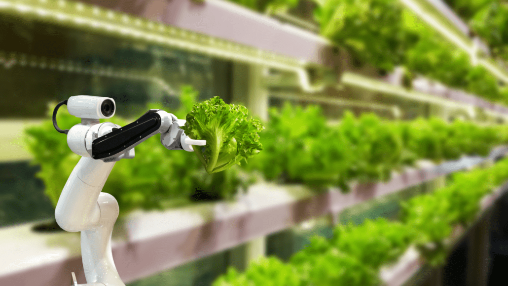 Agronegócio: programa levará tecnologias 4.0 e investimento para o setor