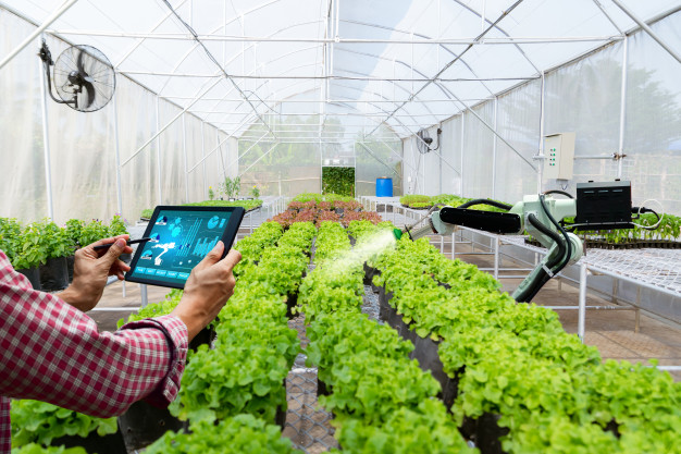 USP seleciona ideias inovadoras para o agronegócio