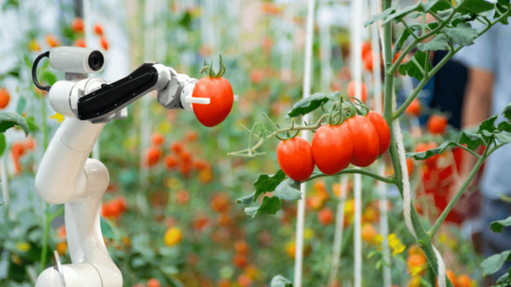 O panorama e o futuro do Agro 4.0 no Brasil