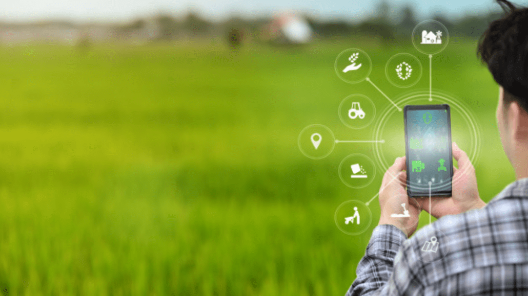 Institutos da Secretaria de Agricultura de SP disponibilizarão 50 soluções tecnológicas ao agro em 2021
