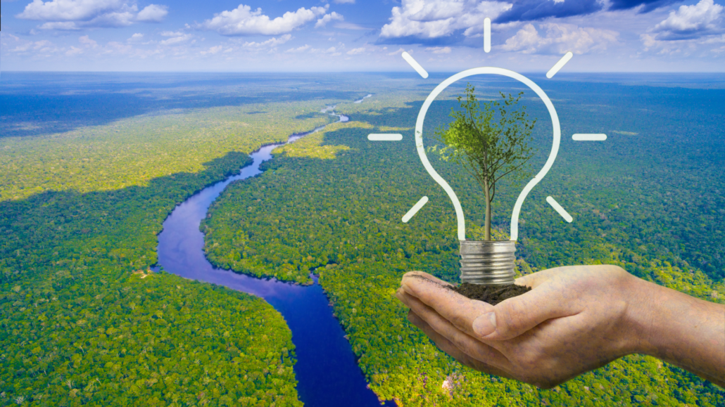 O Ministério da Ciência, Tecnologia e Inovações (MCTI) vai investir R$ 380 milhões em projetos de apoio à pesquisa científica e ao desenvolvimento tecnológico na região amazônica em 2022.