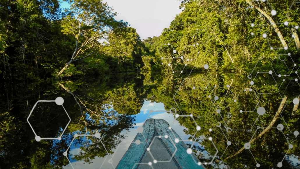Chamada Pública para pesquisa no Sistema Amazônico de Laboratórios Satélites