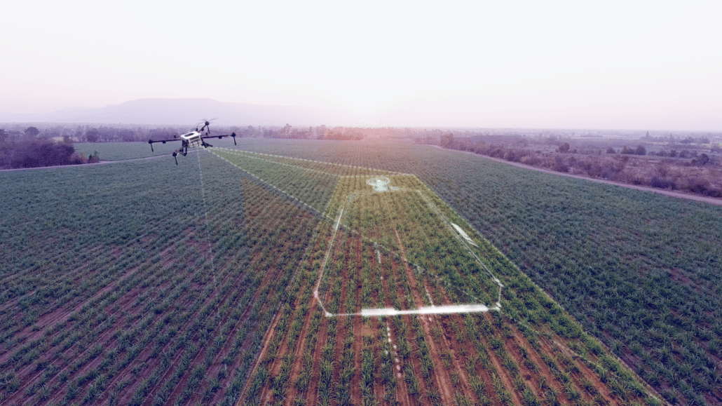 Governo federal sanciona política de incentivo à inovação agrodigital